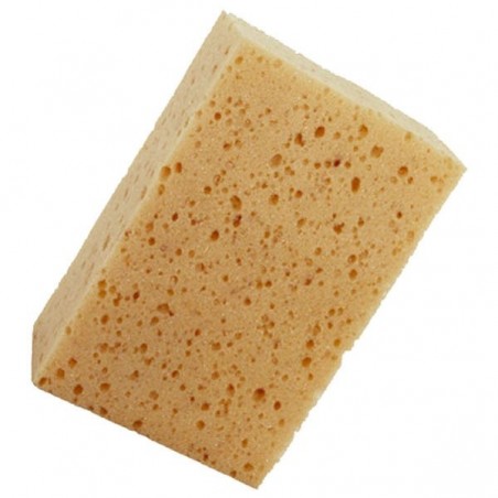 Szivacs